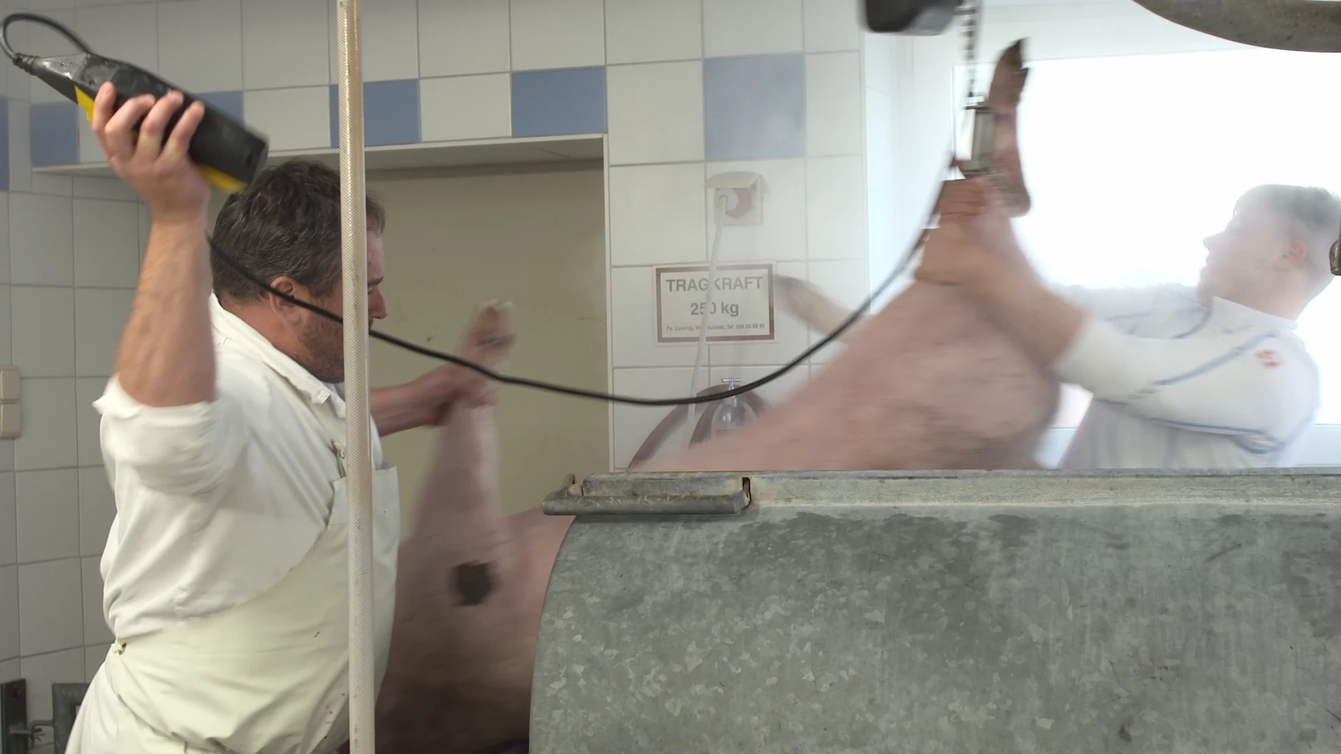 Filmstill aus Die Schlachtung eines Schweins - Dokumentarfilm von Niko Kantner